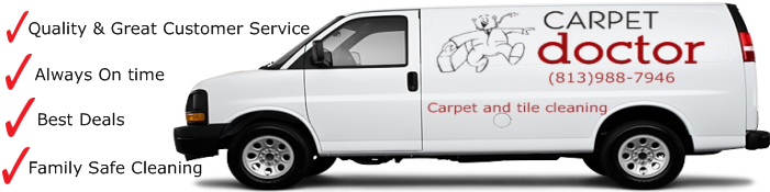 Carpet cleaners valrico fl